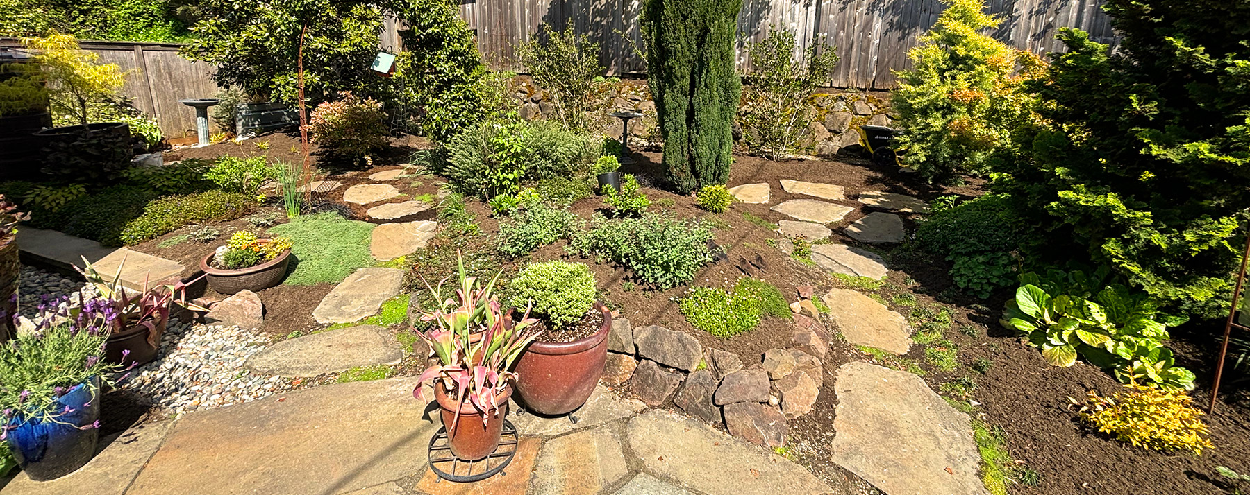 Backyard Landscaping